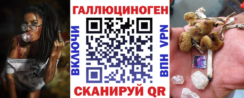 Галлюциногенные грибы Cubensis  Купить где  Байкальск 